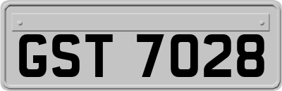 GST7028