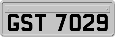 GST7029