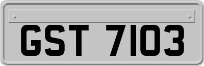 GST7103