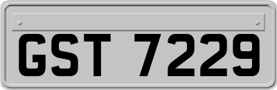 GST7229