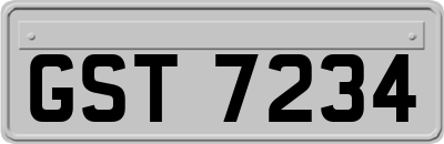 GST7234