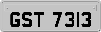 GST7313