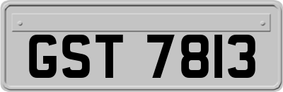 GST7813