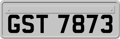 GST7873