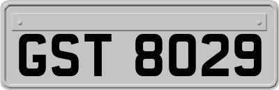 GST8029
