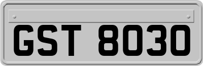 GST8030