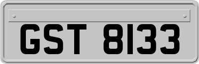 GST8133