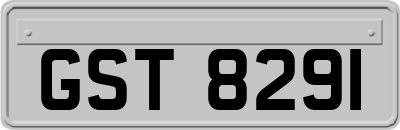 GST8291