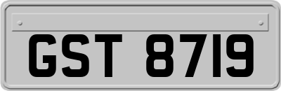 GST8719