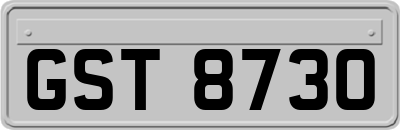 GST8730