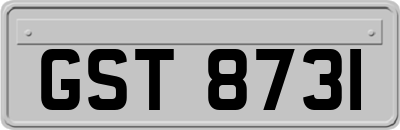 GST8731