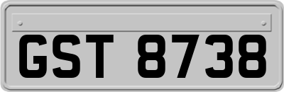 GST8738
