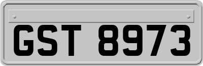 GST8973