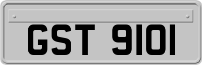 GST9101