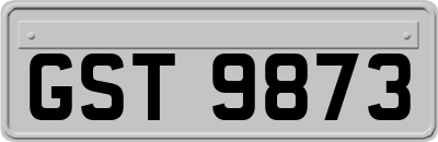 GST9873