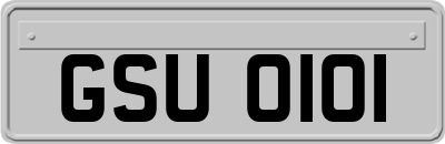 GSU0101