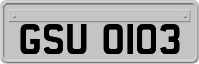 GSU0103