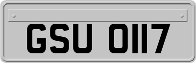 GSU0117