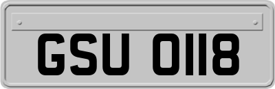 GSU0118