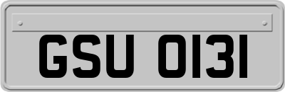 GSU0131