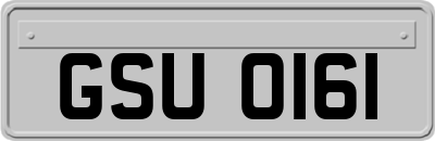 GSU0161