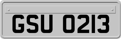 GSU0213