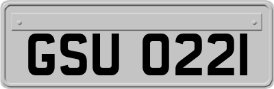 GSU0221