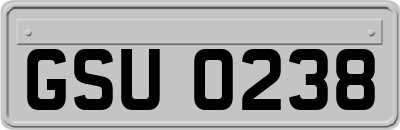 GSU0238