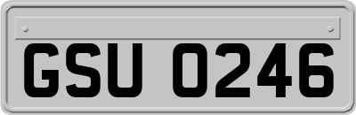 GSU0246