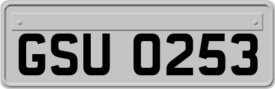 GSU0253