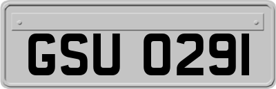 GSU0291