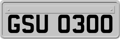 GSU0300