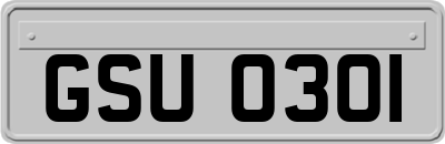 GSU0301