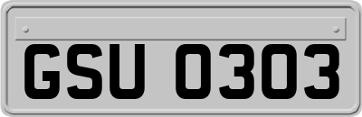 GSU0303