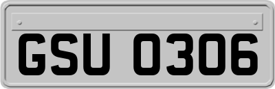 GSU0306