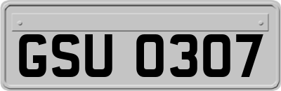 GSU0307