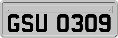 GSU0309
