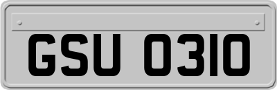GSU0310