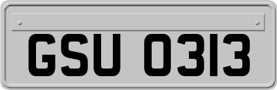 GSU0313