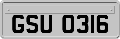 GSU0316