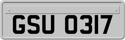 GSU0317