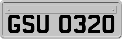 GSU0320