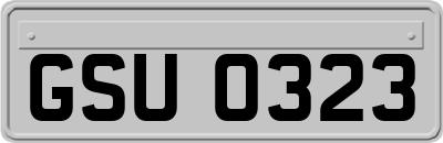 GSU0323