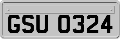 GSU0324