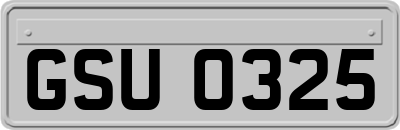 GSU0325