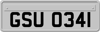 GSU0341