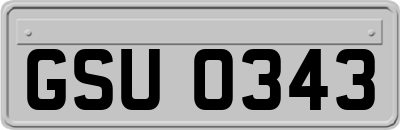 GSU0343
