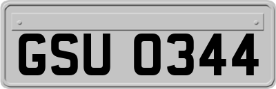 GSU0344