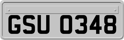 GSU0348