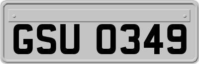 GSU0349